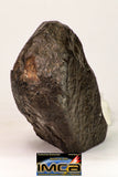 09025 - Complete NWA H6 Type Ordinary Chondrite Meteorite with Fusion Crust & Polished Endcut 430.1g