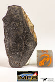 09026 - Top Beautiful Polished Endcut NWA Unclassified Ordinary Chondrite H6 Meteorite 13.4 g