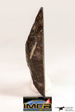 09026 - Top Beautiful Polished Endcut NWA Unclassified Ordinary Chondrite H6 Meteorite 13.4 g