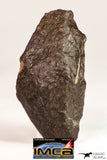 09026 - Top Beautiful Polished Endcut NWA Unclassified Ordinary Chondrite H6 Meteorite 13.4 g