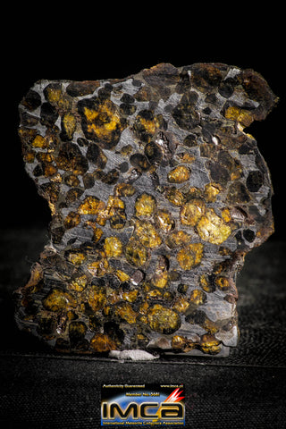 22301 - Sericho Pallasite Meteorite Polished Thin Section Fell in Kenya 43.823 g