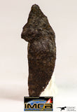09027 - Top Beautiful NWA Unclassified Ordinary Chondrite H6 Meteorite 1.3 g