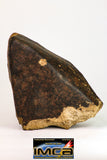 09028 - Almost Complete Oriented NWA Unclassified Ordinary Chondrite Meteorite with Fresh Fusion Crust 646g