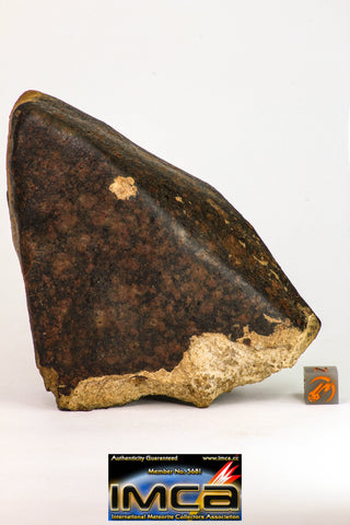 09028 - Almost Complete Oriented NWA Unclassified Ordinary Chondrite Meteorite with Fresh Fusion Crust 646g