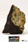 09030 - Partial Complete NWA Unclassified Ordinary Chondrite Meteorite 5.6 g With Fusion Crust