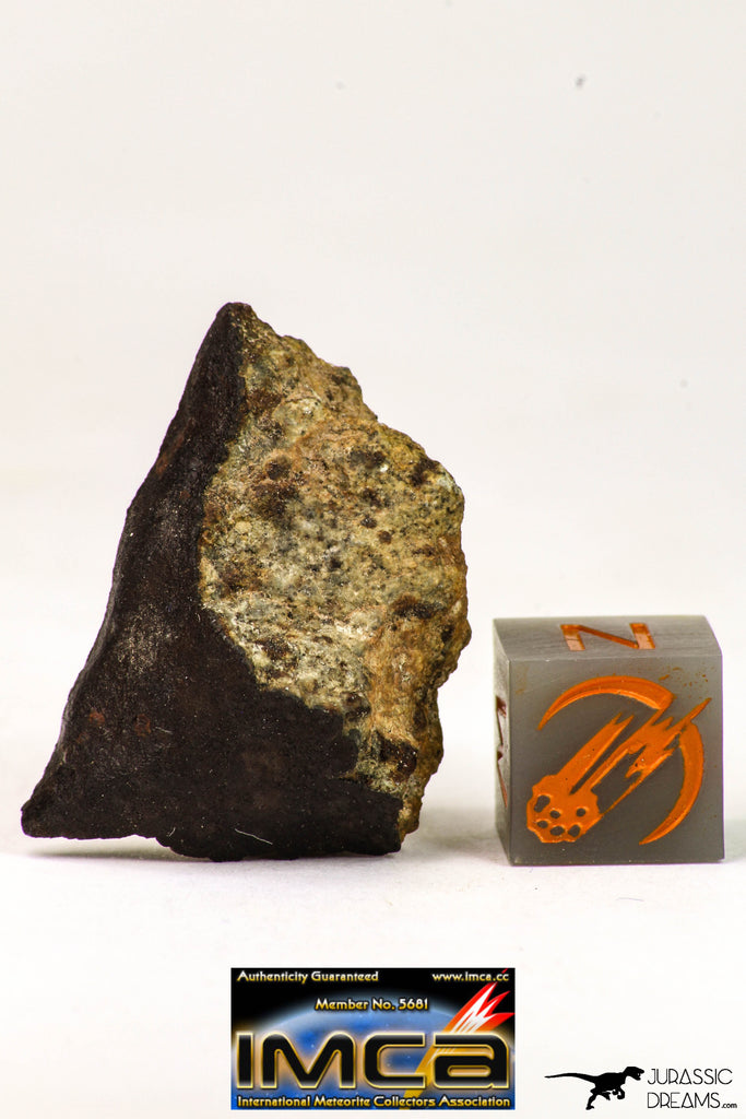 09030 - Partial Complete NWA Unclassified Ordinary Chondrite Meteorite 5.6 g With Fusion Crust