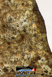 09030 - Partial Complete NWA Unclassified Ordinary Chondrite Meteorite 5.6 g With Fusion Crust