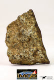 09030 - Partial Complete NWA Unclassified Ordinary Chondrite Meteorite 5.6 g With Fusion Crust