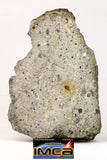 09031 - Top Rare NWA Howardite Achondrite Meteorite Polished Section 99g