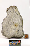 09031 - Top Rare NWA Howardite Achondrite Meteorite Polished Section 99g