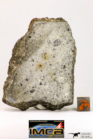 09032 - Top Rare NWA Howardite Achondrite Meteorite Polished Section 68.5 g