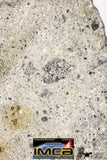 09032 - Top Rare NWA Howardite Achondrite Meteorite Polished Section 68.5 g