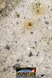 09032 - Top Rare NWA Howardite Achondrite Meteorite Polished Section 68.5 g