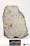 09032 - Top Rare NWA Howardite Achondrite Meteorite Polished Section 68.5 g