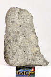 09034 - Top Rare NWA Howardite Achondrite Meteorite Polished Section 37.8g