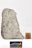 09034 - Top Rare NWA Howardite Achondrite Meteorite Polished Section 37.8g