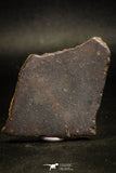 06285 - Nice Polished Section NWA Unclassified L-H Type Ordinary Chondrite Meteorite 33.0g