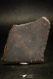 06285 - Nice Polished Section NWA Unclassified L-H Type Ordinary Chondrite Meteorite 33.0g