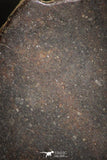 06285 - Nice Polished Section NWA Unclassified L-H Type Ordinary Chondrite Meteorite 33.0g