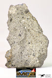 09035 - Top Rare NWA Howardite Achondrite Meteorite Polished Section Endcut 6.1 g