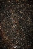 06285 - Nice Polished Section NWA Unclassified L-H Type Ordinary Chondrite Meteorite 33.0g