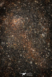 06285 - Nice Polished Section NWA Unclassified L-H Type Ordinary Chondrite Meteorite 33.0g