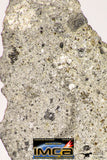 09035 - Top Rare NWA Howardite Achondrite Meteorite Polished Section Endcut 6.1 g