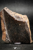 06285 - Nice Polished Section NWA Unclassified L-H Type Ordinary Chondrite Meteorite 33.0g
