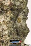09035 - Top Rare NWA Howardite Achondrite Meteorite Polished Section Endcut 6.1 g