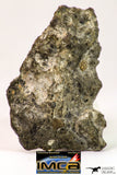 09035 - Top Rare NWA Howardite Achondrite Meteorite Polished Section Endcut 6.1 g