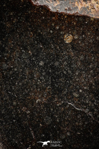 06285 - Nice Polished Section NWA Unclassified L-H Type Ordinary Chondrite Meteorite 33.0g