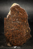06286 - Nice Polished Section NWA Unclassified L-H Type Ordinary Chondrite Meteorite 35.0g