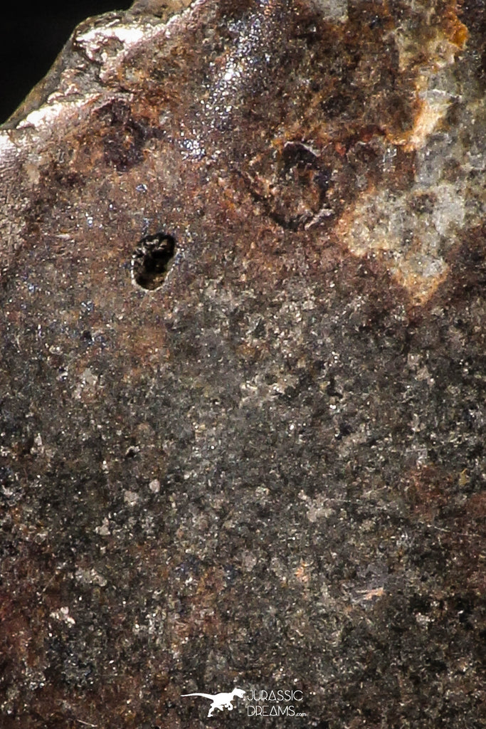 06287 - Nice Polished Section NWA Unclassified L-H Type Ordinary Chondrite Meteorite 7.0g