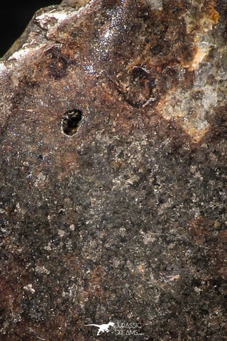 06287 - Nice Polished Section NWA Unclassified L-H Type Ordinary Chondrite Meteorite 7.0g