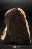06288 - Nice Polished Section NWA Unclassified L-H Type Ordinary Chondrite Meteorite 42.0g