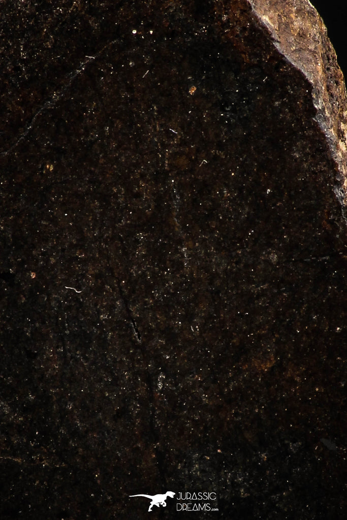 06288 - Nice Polished Section NWA Unclassified L-H Type Ordinary Chondrite Meteorite 42.0g