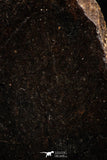 06288 - Nice Polished Section NWA Unclassified L-H Type Ordinary Chondrite Meteorite 42.0g