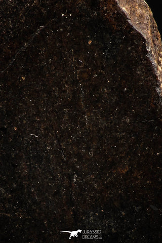 06288 - Nice Polished Section NWA Unclassified L-H Type Ordinary Chondrite Meteorite 42.0g