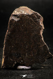 06288 - Nice Polished Section NWA Unclassified L-H Type Ordinary Chondrite Meteorite 42.0g