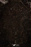 06288 - Nice Polished Section NWA Unclassified L-H Type Ordinary Chondrite Meteorite 42.0g