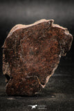 06289 - Nice Polished Section NWA Unclassified L-H Type Ordinary Chondrite Meteorite 21.0g