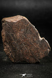 06289 - Nice Polished Section NWA Unclassified L-H Type Ordinary Chondrite Meteorite 21.0g