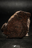06289 - Nice Polished Section NWA Unclassified L-H Type Ordinary Chondrite Meteorite 21.0g