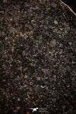 06290 - Nice Polished Section NWA Unclassified L-H Type Ordinary Chondrite Meteorite 17.0g