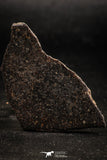 06290 - Nice Polished Section NWA Unclassified L-H Type Ordinary Chondrite Meteorite 17.0g