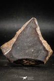 06291 - Nice Polished Section NWA Unclassified L-H Type Ordinary Chondrite Meteorite 43.0g