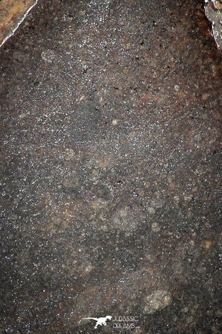 06291 - Nice Polished Section NWA Unclassified L-H Type Ordinary Chondrite Meteorite 43.0g