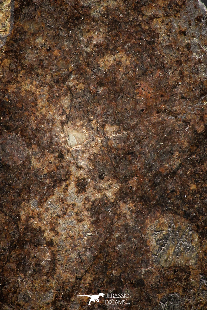 06292 - Nice Polished Section NWA Unclassified L-H Type Ordinary Chondrite Meteorite 34.0g