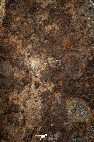 06292 - Nice Polished Section NWA Unclassified L-H Type Ordinary Chondrite Meteorite 34.0g