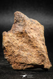 06292 - Nice Polished Section NWA Unclassified L-H Type Ordinary Chondrite Meteorite 34.0g
